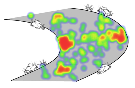 Water velocity heat map