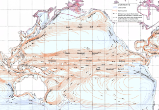 Pacific Ocean currents