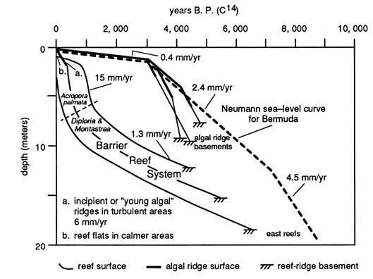 Holocene Sea Level Curves A Closer Look