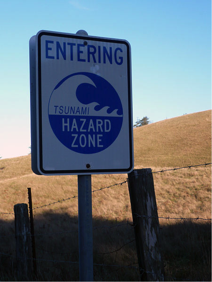 Tsunami warning washington zone