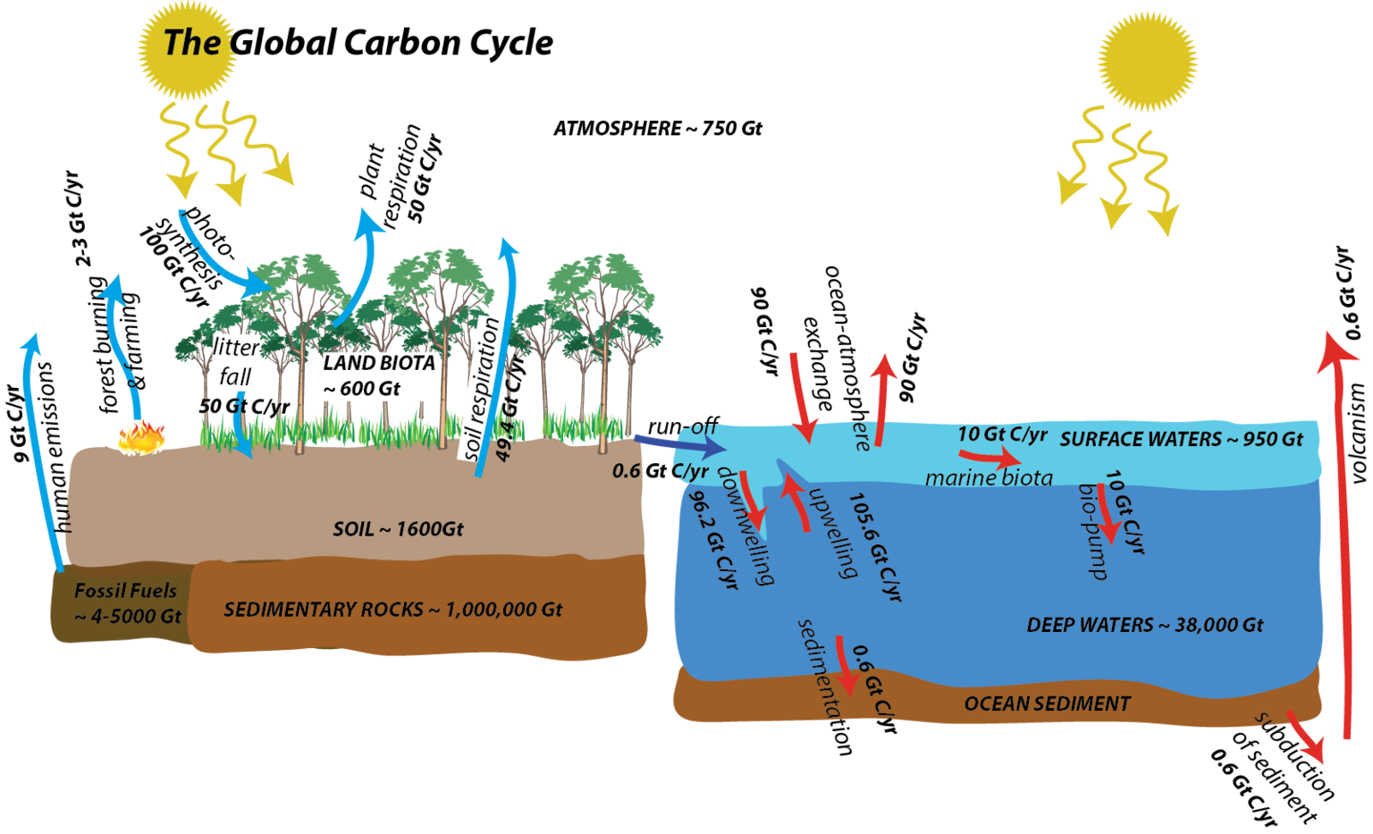 Unit 9 Carbon Cycle and Ocean Chemistry