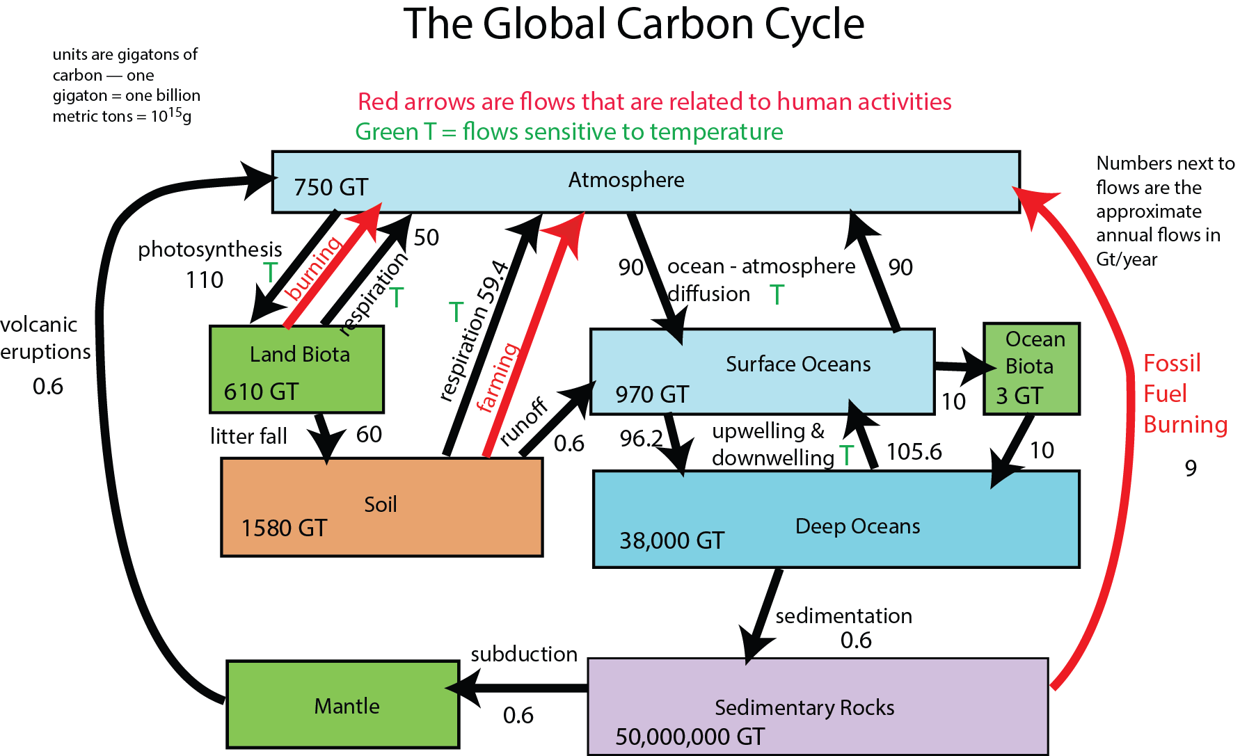 Carbon Sink Diagrams List Of Wiring Diagrams