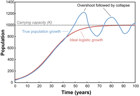 Population overshoot