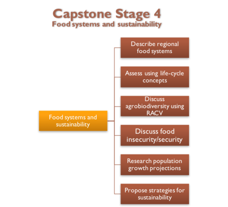 Capstone Stage 4
