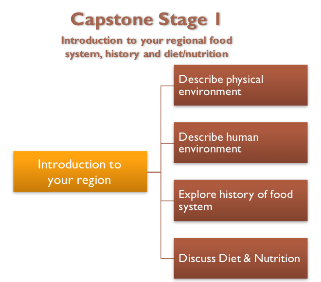 Capstone Stage 1 Diagram