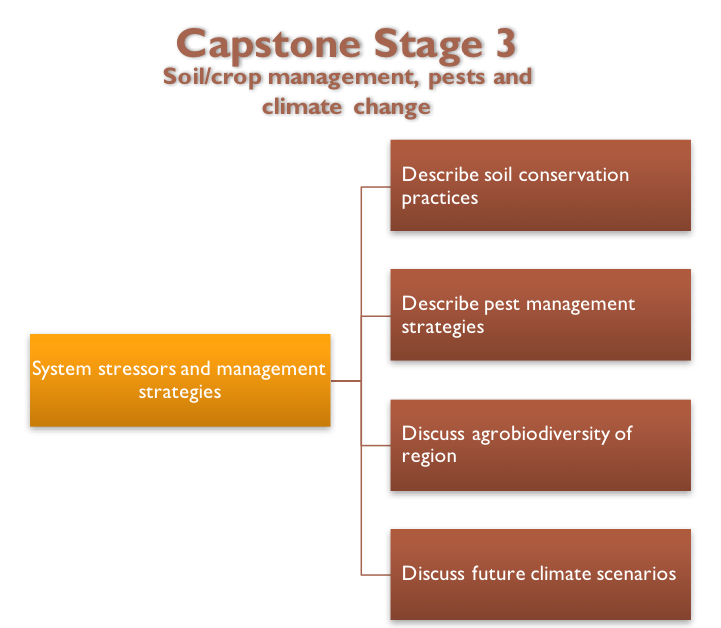 Capstone Stage 3 Diagram