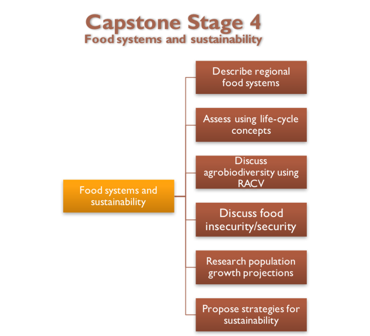 Capstone Stage 4a diagram