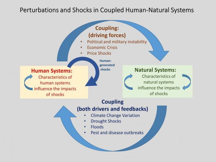 CHNS - basic depiction of perturbations and shocks