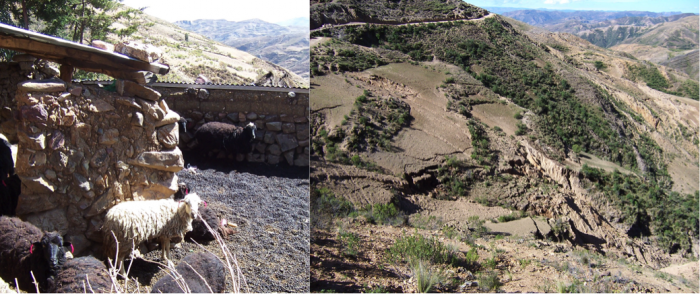 The collection, transport, and application to soil of plant nutrients using animal manure (left), and the destructive effects of erosion from tillage on sloped land (right) are two human system impacts on the earth system. Emissions resulting from fossil