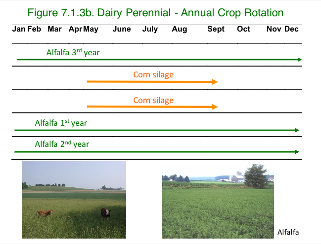 Cropping Systems