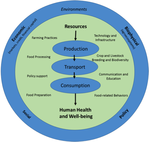 food system components diagram