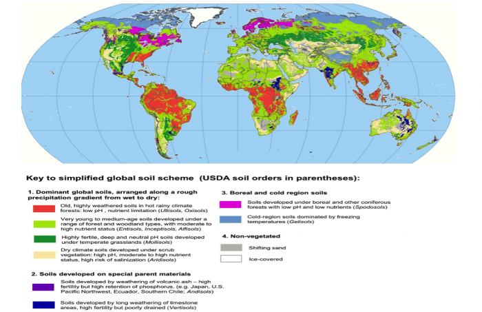 Soil Types Different Parts 744 