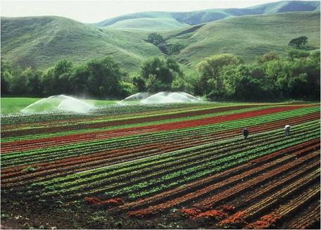 which term refers to raised fields made from rich soil dredged up from the lake bottom