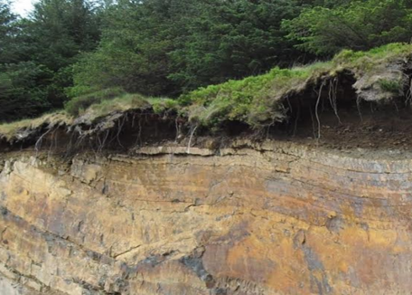 critical zone