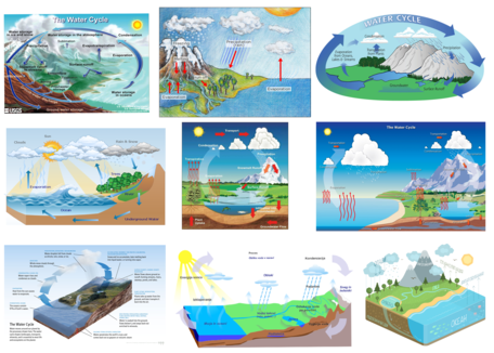 Water Cycle Visualizations