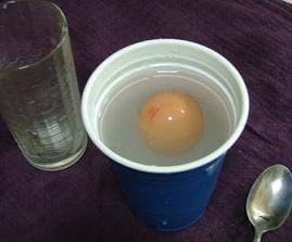 Floating Egg