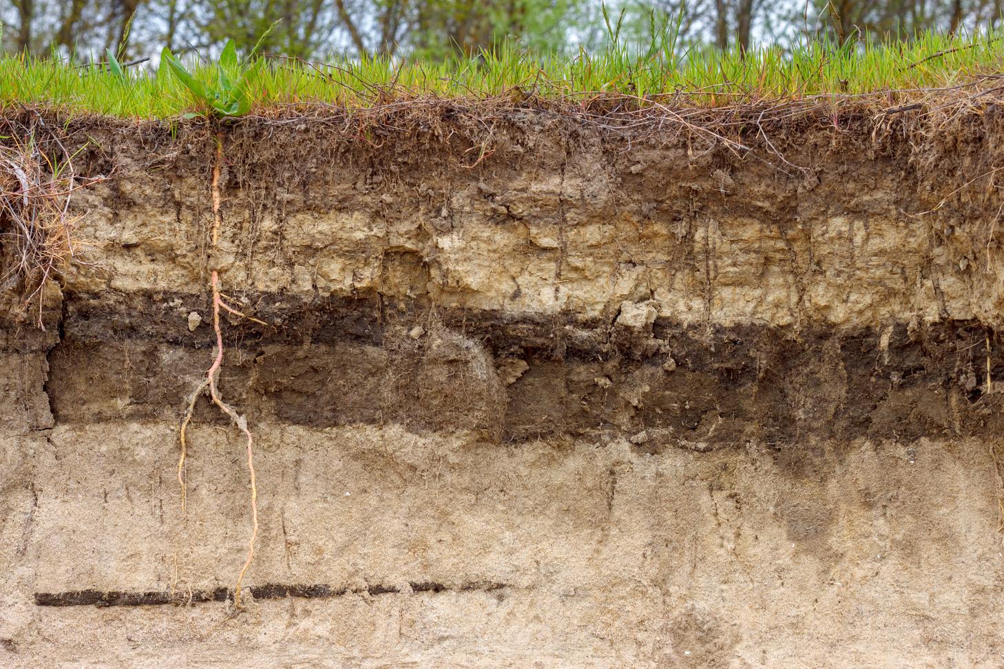 Soil Science Education