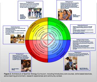 Spellman Bullseye model