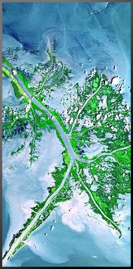 A birdsfoot delta at the mouth of the Mississippi River. Photo courtesy of NASA/JPL.