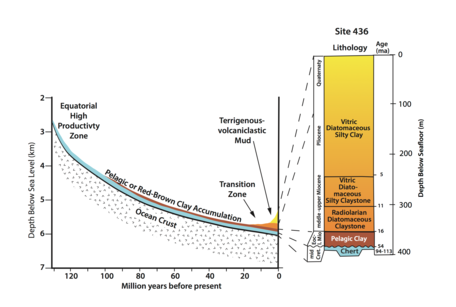 Site 436 Stratigraphic Section