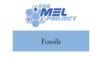 Fossils baMEL TItle Slide