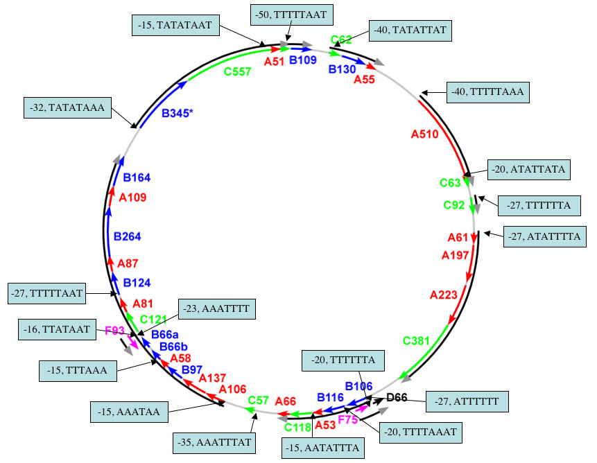 Methods and techniques of research