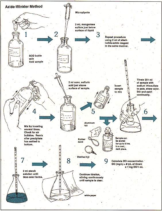 Dissolved Oxygen Chart