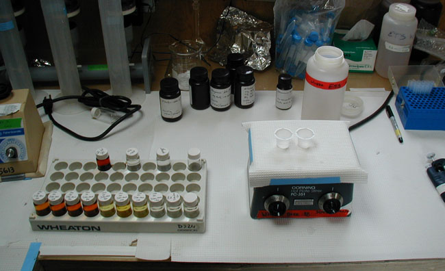 Example of the Winkler method to determin disolve oxygen content in lake water samples.
