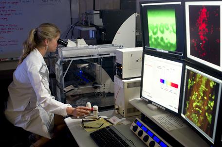 Confocal Microscopy Laboratory at Montana State University