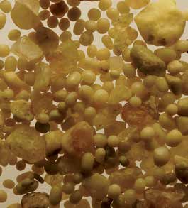 Hydrogenous sediment