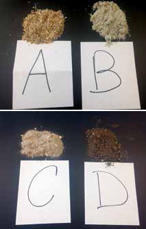 Sediment Sampels