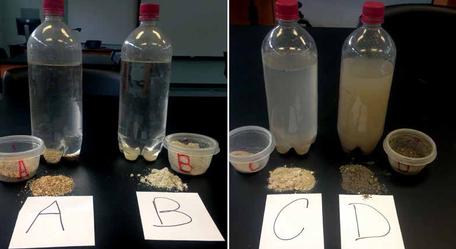 Sediment Samples