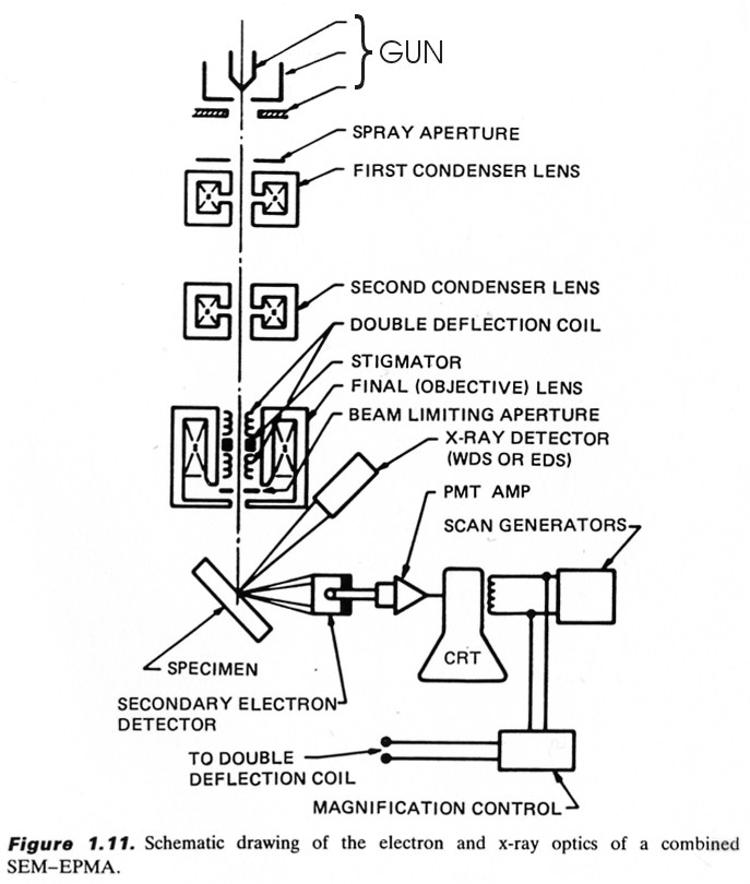 scanning electron microscope block diagram