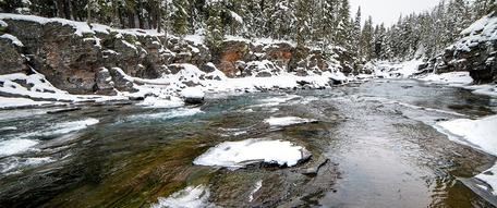 McDonald Creek