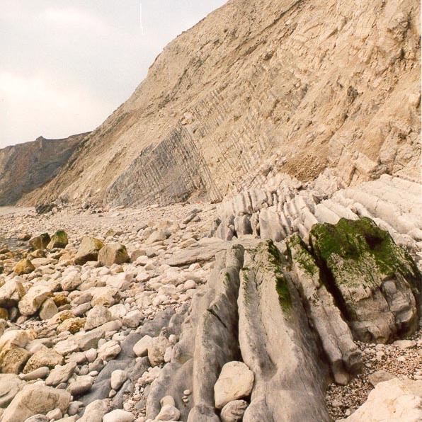 Advances in Paleontology