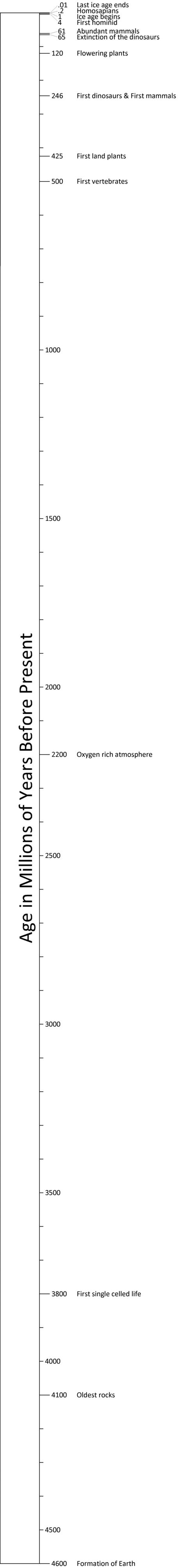 Geologic Time Ms Ash S Science Website