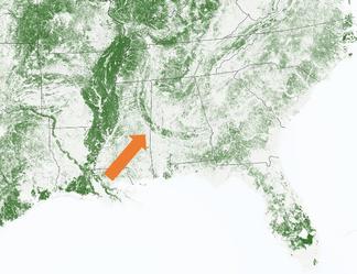 A map of the American southwest showing deposits of the fertile "Blackland prairie dirt". An arrow points to a distinct curved occurrence of this material that is where the old coastline would have been during the Cretaceous period