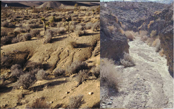 Photographs typical erosion st jpg