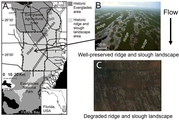 Fig. 1. Ridge and slough overview and location